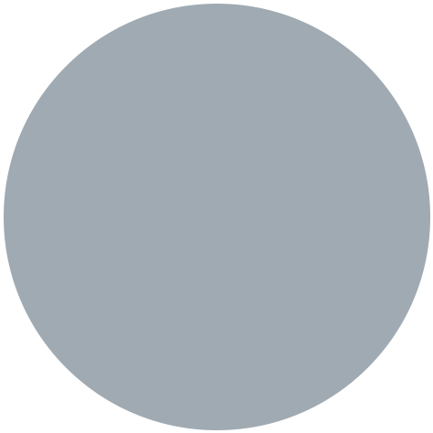 Branding: Light Gray color dot