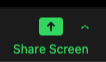 Zoom Screen Share Button